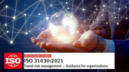 iso 31030
